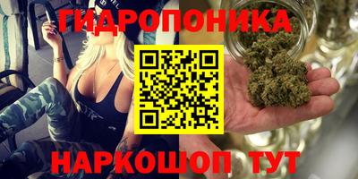 стаф Лесосибирск