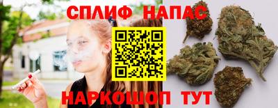 стаф Лесосибирск