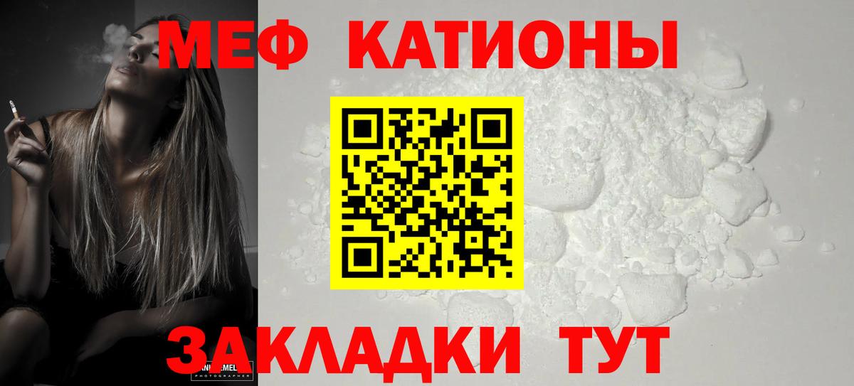 МЕФ  Камышин