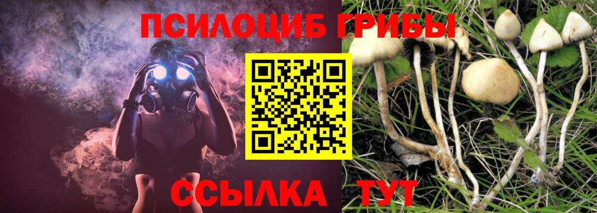 Галлюциногенные грибы Magic Shrooms  Вход с VPN  Галлюциногенные грибы Psilocybine cubensis  Камышин 